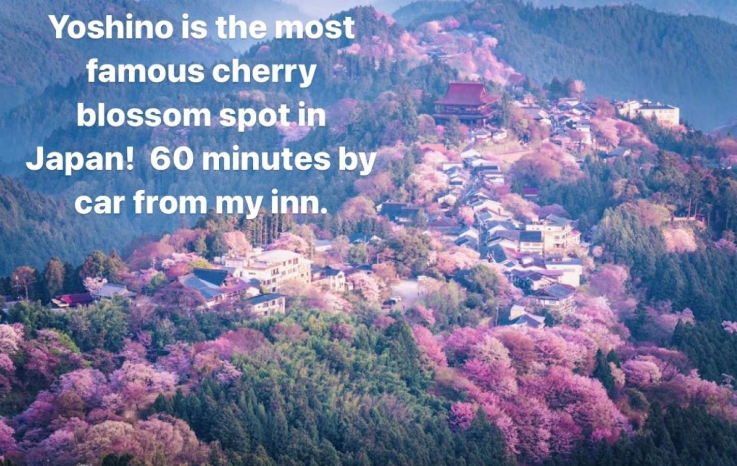 Nosegawa Inn Unkai No Sato No Yado מראה חיצוני תמונה