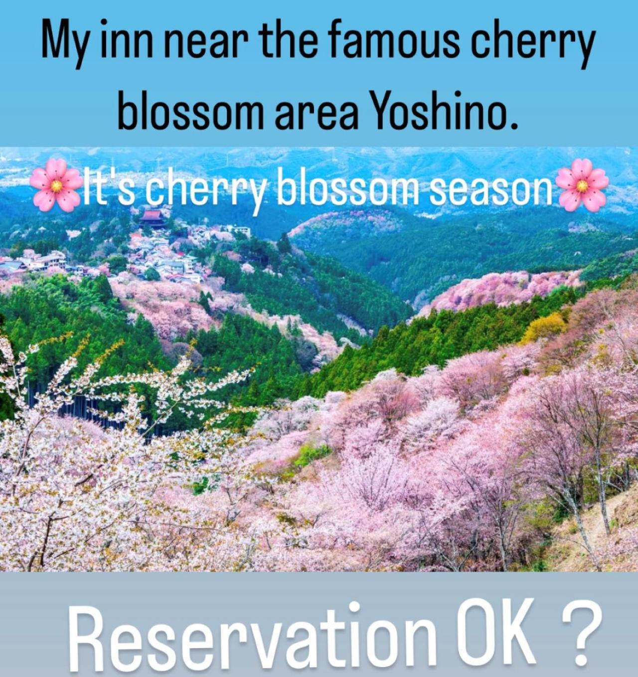 Nosegawa Inn Unkai No Sato No Yado מראה חיצוני תמונה
